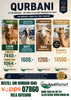 Qurbani