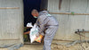 Food assistance